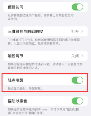 蒸湘苹果授权维修站分享iPhone轻点无法唤醒怎么办 