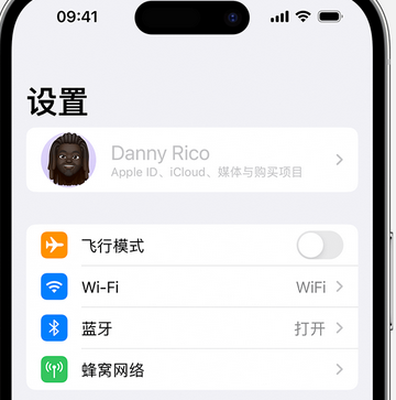 蒸湘appleID维修服务iPhone设置中Apple ID显示为灰色无法使用