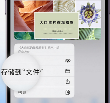 蒸湘apple维修中心分享iPhone文件应用中存储和找到下载文件