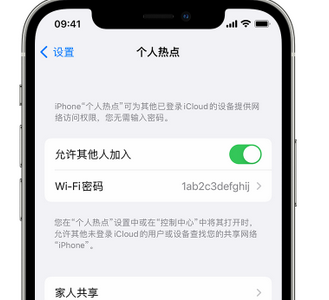 蒸湘apple服务站点分享iPhone上个人热点丢失了怎么办 