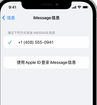 蒸湘apple维修iPhone上无法正常发送iMessage信息 