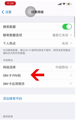 蒸湘苹果14维修网分享如何给iPhone14的SIM卡设置密码 