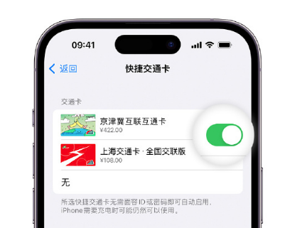 蒸湘apple维修点分享iPhone上更换Apple Pay快捷交通卡手绘卡面 