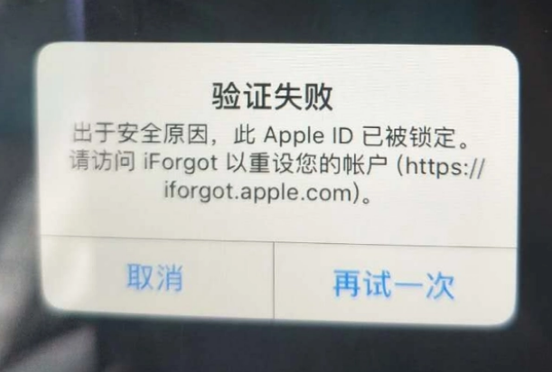 蒸湘iPhone维修分享iPhone上正常登录或使用AppleID怎么办 