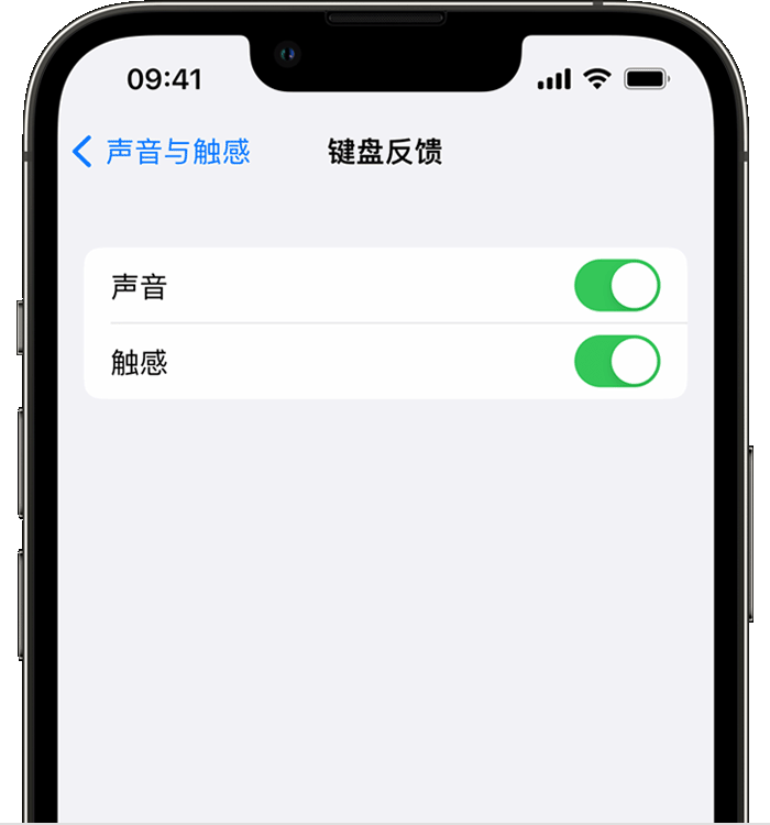 蒸湘苹果14维修店分享如何在 iPhone 14 机型中使用触感键盘 