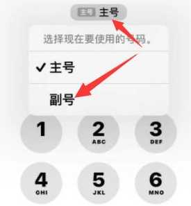 蒸湘苹果14维修店分享iPhone 14 Pro Max使用副卡打电话的方法 