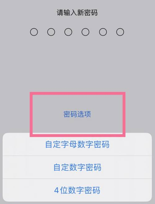 蒸湘苹果14维修分享iPhone 14plus设置密码的方法 