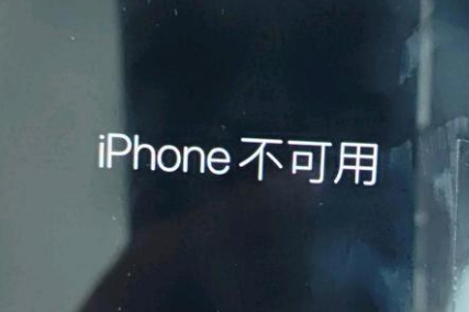 蒸湘苹果服务网点分享锁屏界面显示“iPhone 不可用”如何解决 