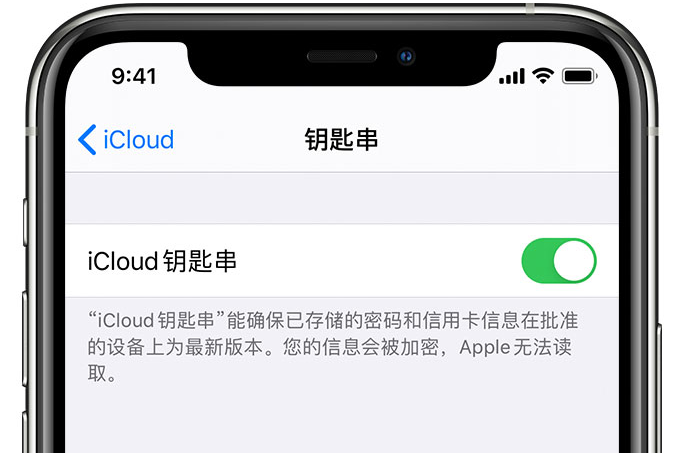 蒸湘苹果手机维修分享在 iPhone 上开启 iCloud 钥匙串之后会储存哪些信息 