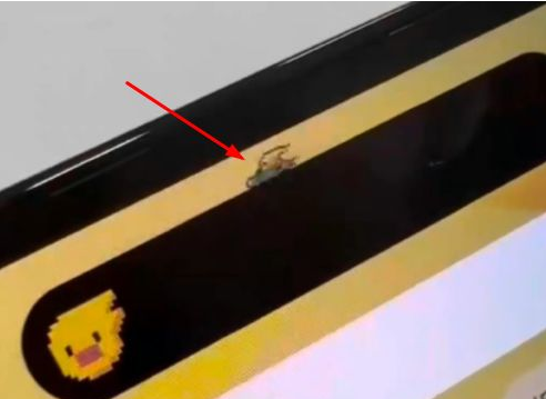 蒸湘苹果14维修分享iPhone 14 Pro Max灵动岛怎么养宠物 