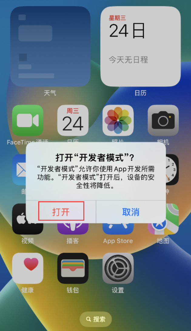 蒸湘苹果手机维修分享如何打开开发者模式 