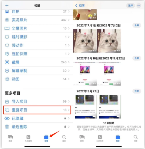 蒸湘苹果手机维修分享iOS 16 中相册重复项目功能使用方法 