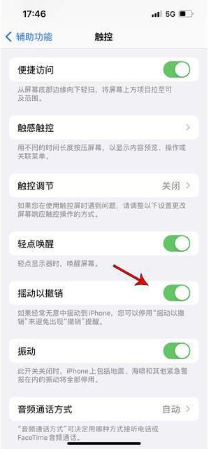 蒸湘苹果手机维修分享iPhone手机如何设置摇一摇删除文字 