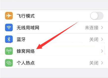 蒸湘苹果手机维修分享iPhone手机4G网络怎么设置成5G网络 