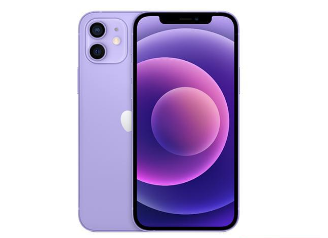 蒸湘苹果手机维修分享现阶段要不要入手紫色版iPhone12 