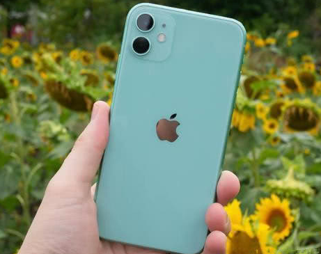 蒸湘苹果维修点分享iPhone 11锁屏密码认知与使用科普 