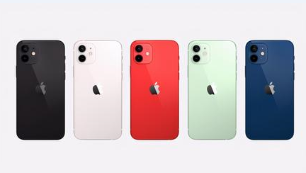蒸湘苹果维修点分享iPhone 12锁屏密码系统机制科普 