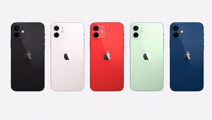 蒸湘苹果维修点分享iPhone 12黑屏隐蔽故障解读 